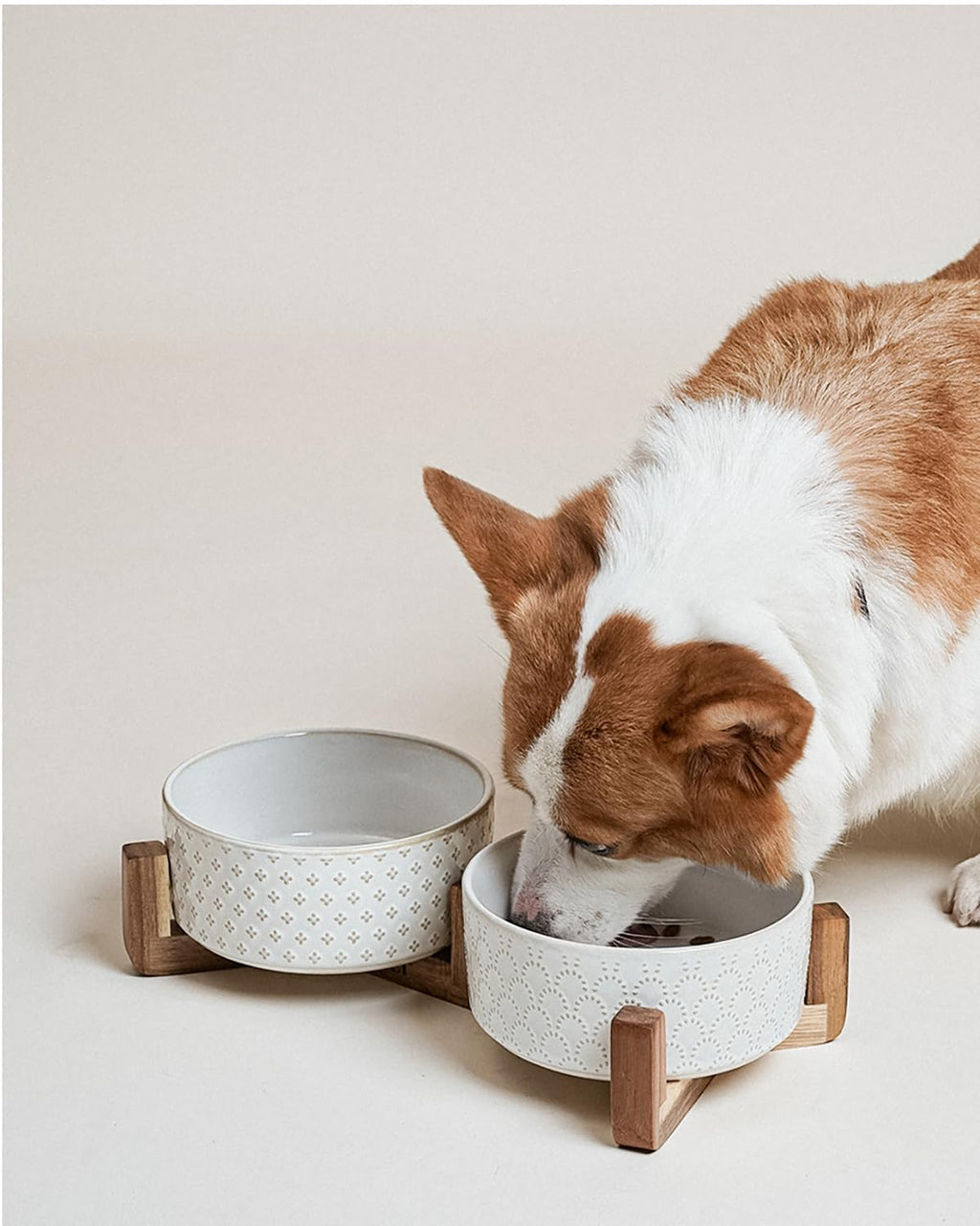 Kryvalen Dog Bowl Set