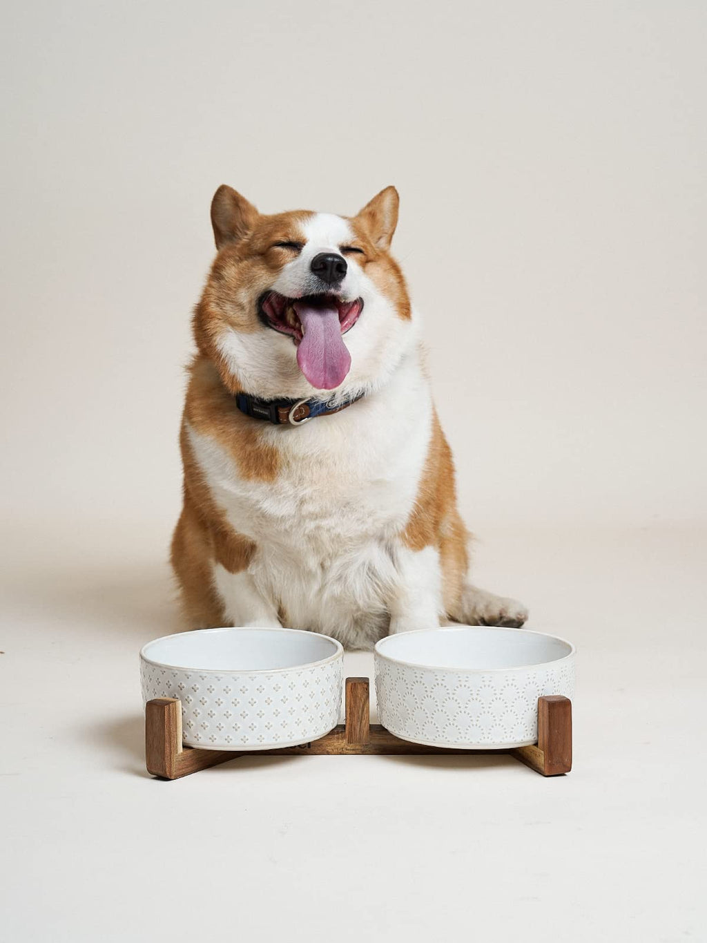 Kryvalen Dog Bowl Set
