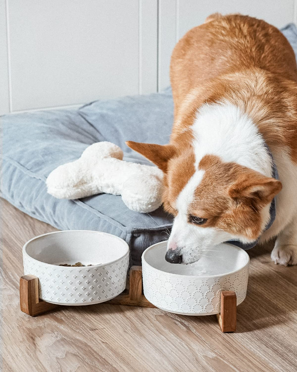 Kryvalen Dog Bowl Set