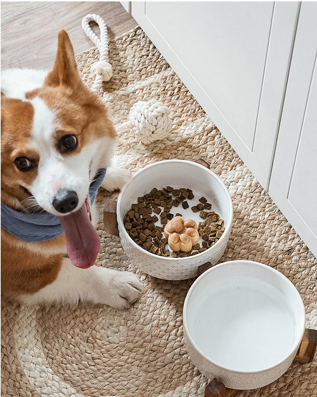 Kryvalen Dog Bowl Set