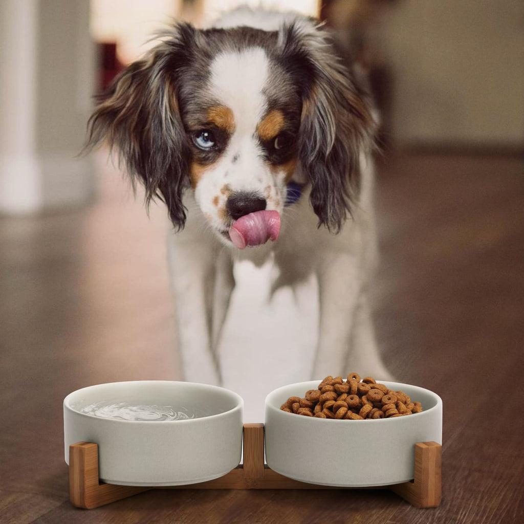 Kryvalen Ceramic Dog and Cat Bowl