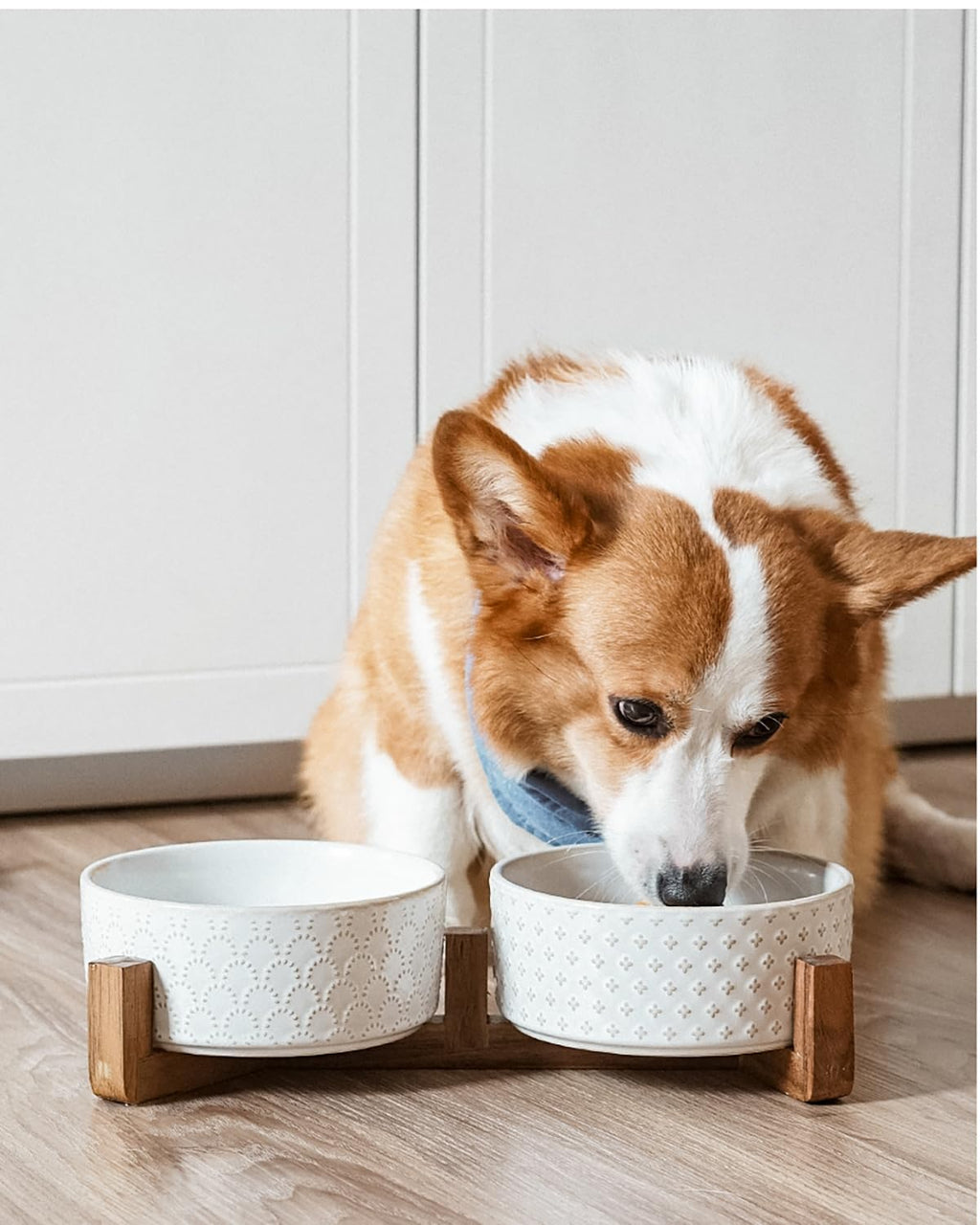 Kryvalen Dog Bowl Set