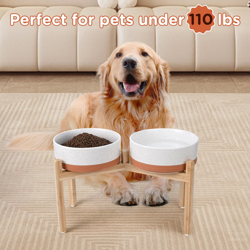 Kryvalen Elevated Dog Bowls Ceramic