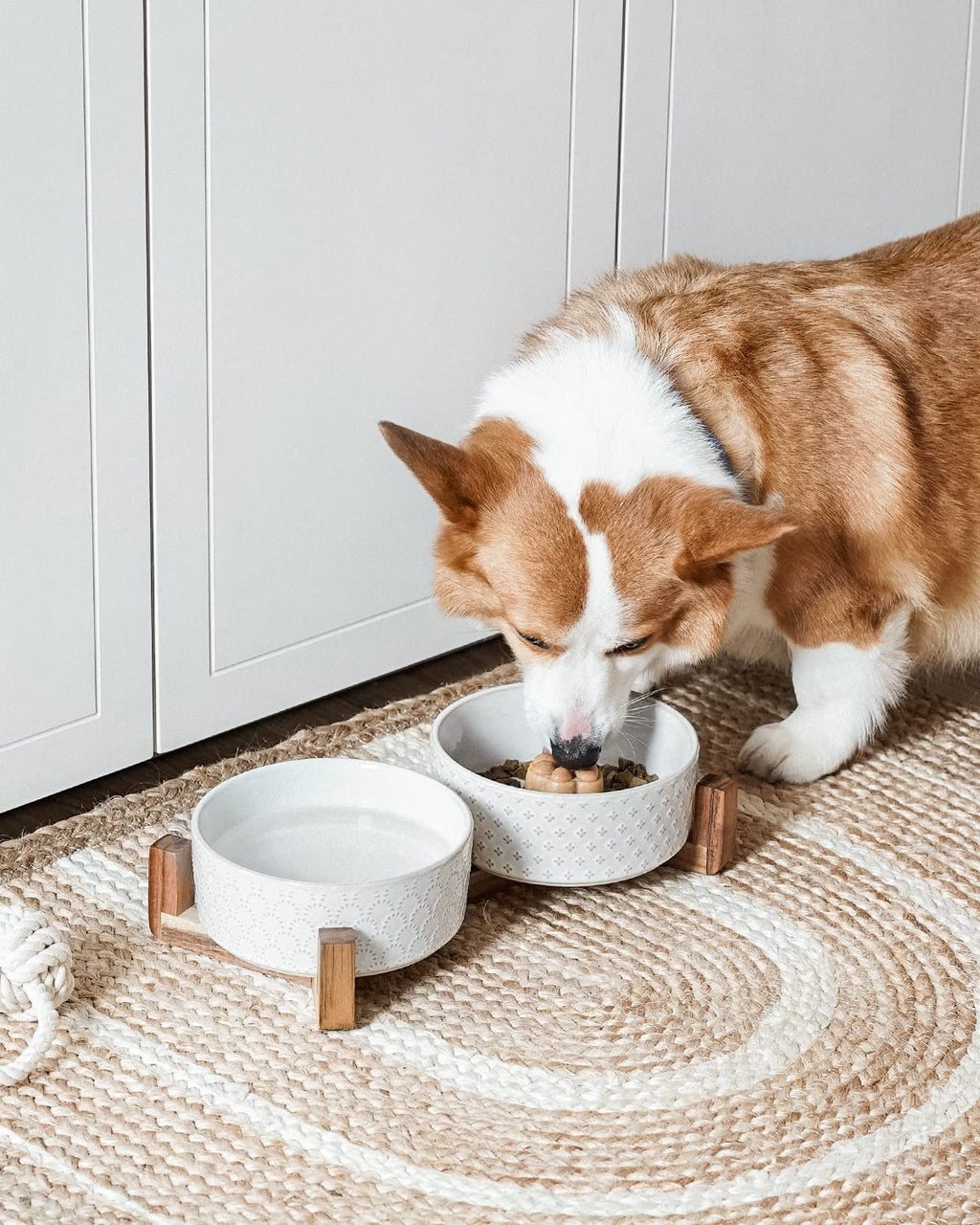 Kryvalen Dog Bowl Set